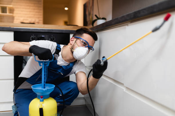 Best Emergency Pest Control  in Waimanalo Beach, HI