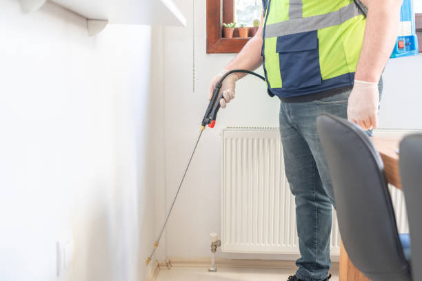 Best Affordable Pest Control Services  in Waimanalo Beach, HI
